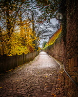 2013 11-Walk to Heidelberg Castle